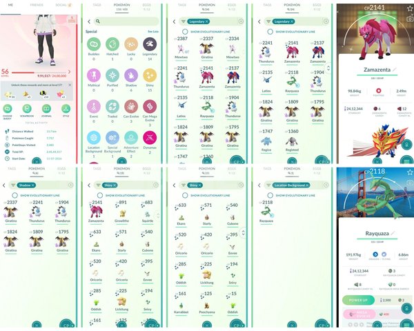 AŞIRI NADİR POKEMON GO HESABI