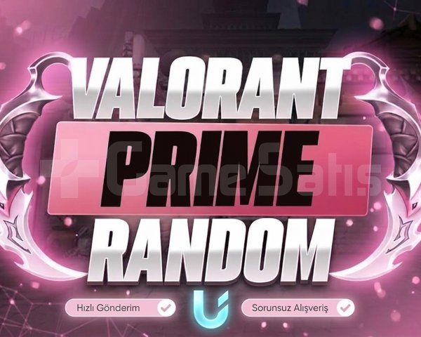 Valorant Random Skinli Hesap