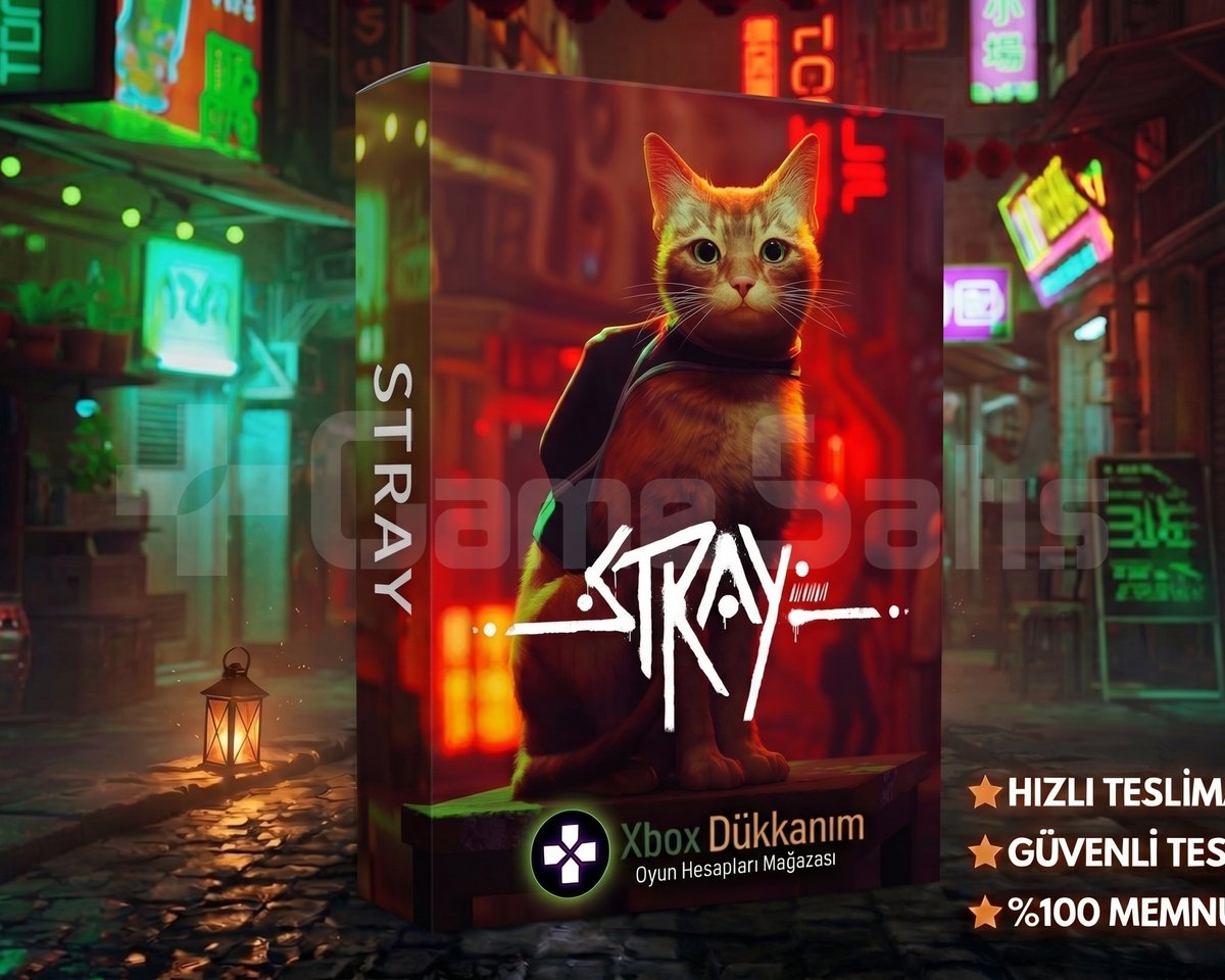 Stray One|S|X Para İade Garantili