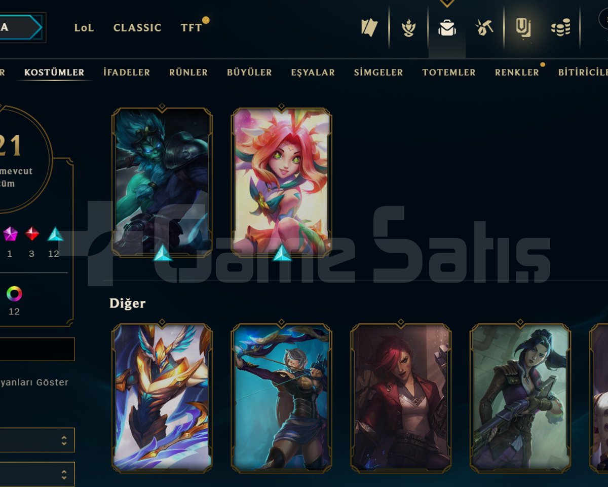 121 SKİN / 117 LVL / 134 HERO