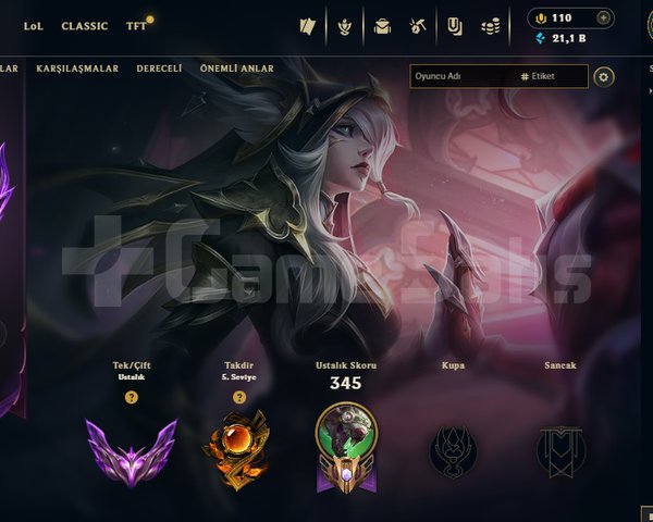 TR / CHALLDAN ERİMİŞ MASTER HESAP 55WR