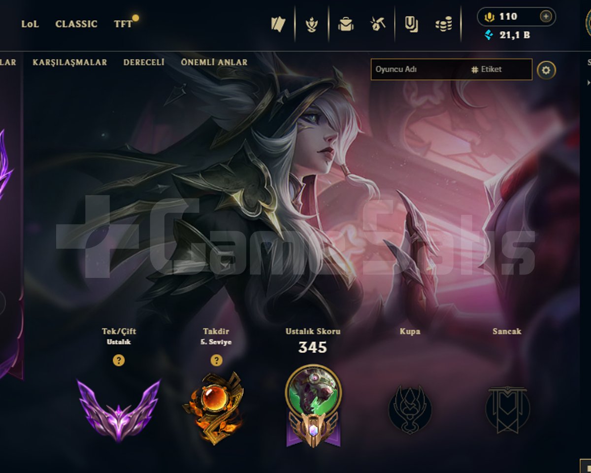 TR / CHALLDAN ERİMİŞ MASTER HESAP 55WR