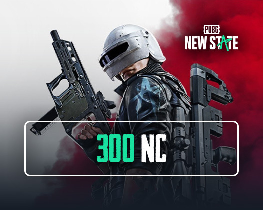 Pubg New State 300 NC