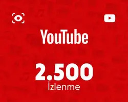 YouTube 2.500 İzlenme