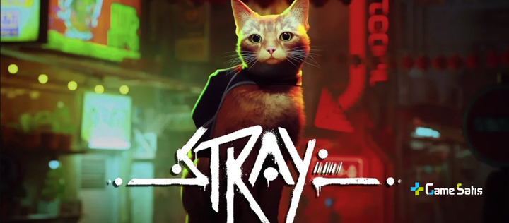 Stray Sistem Gereksinimleri Nedir? Stray Fiyatı Ne Kadar?