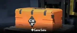 Counter Strike: 2 Kilowatt Kasası: İçindekiler, Özel Eşya Skinleri