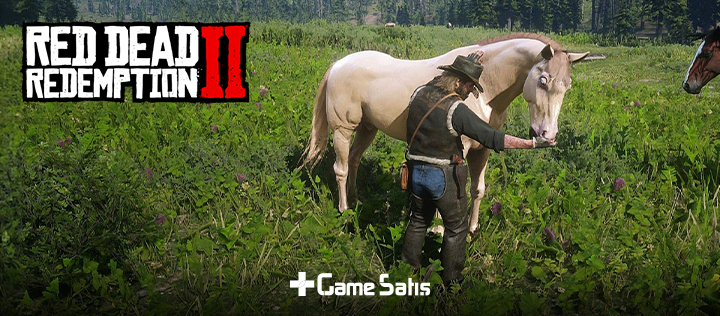 RDR 2 En İyi Atlar Nelerdir? Nasıl Alınır?